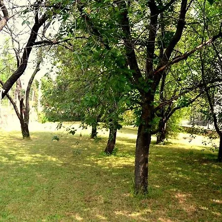 First Balatonfüred
